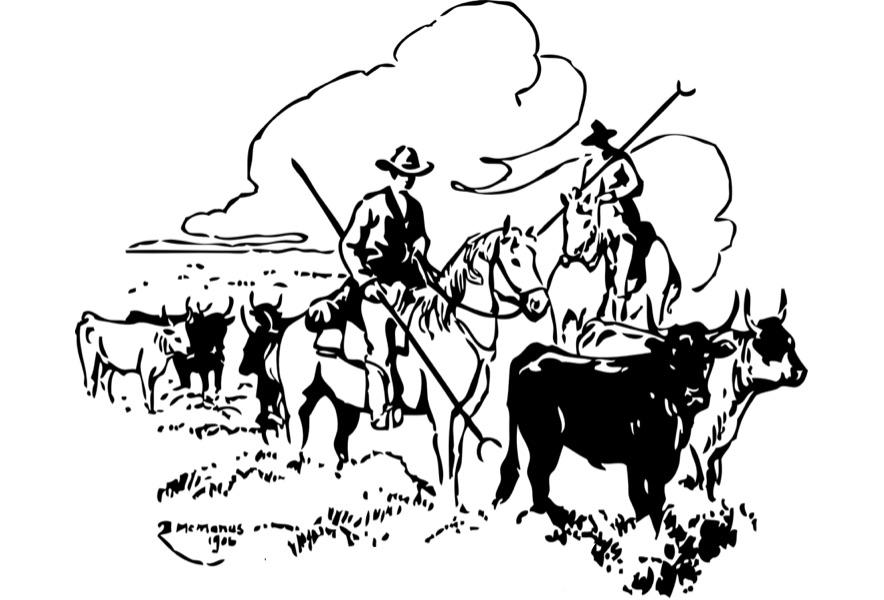 10 dessins de cowboy hors du commun