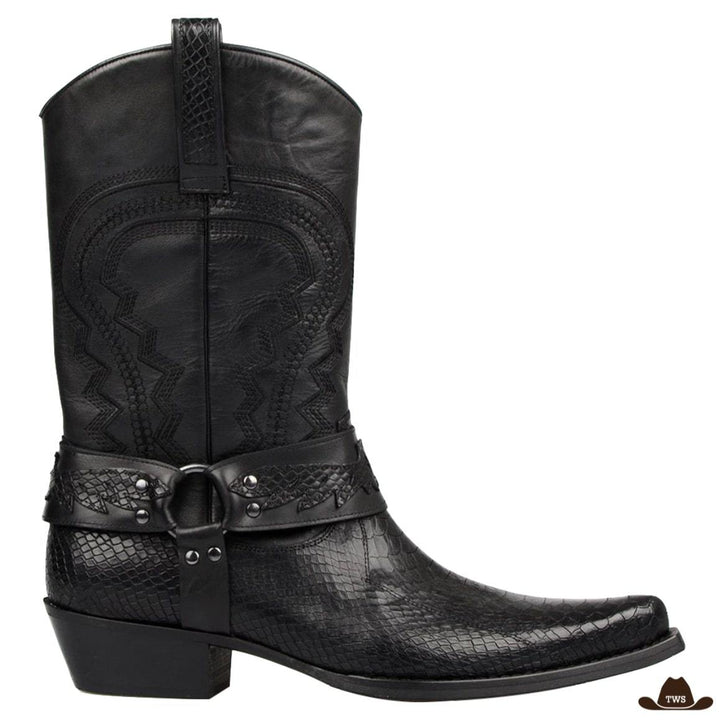 Bottes en Cuir Homme Western