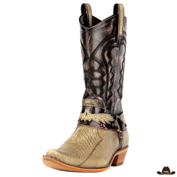 Bottes en Cuir Western