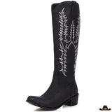 Bottes de Style Country
