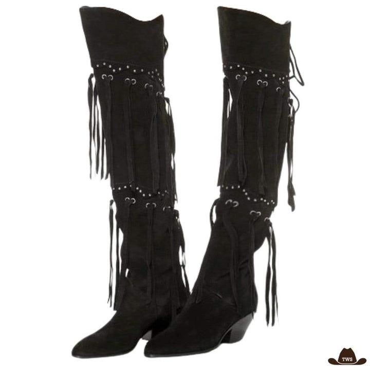 Bottes de Western Hautes