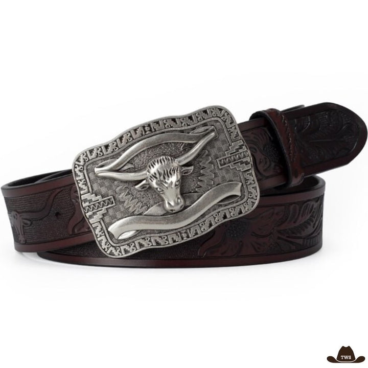 Ceinture Style Western Pas Chere