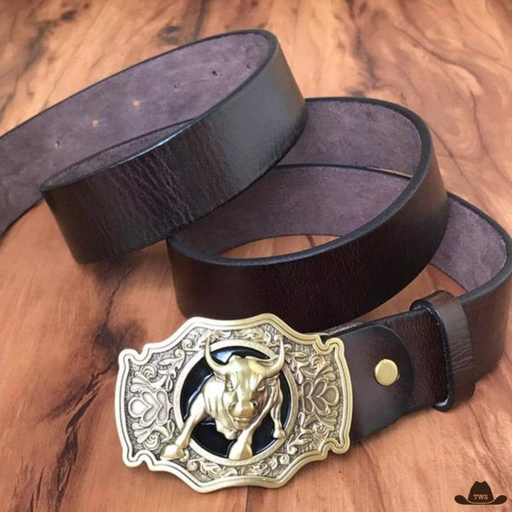 ceinture western country homme - marron foncé