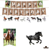 deco anniversaire theme cheval